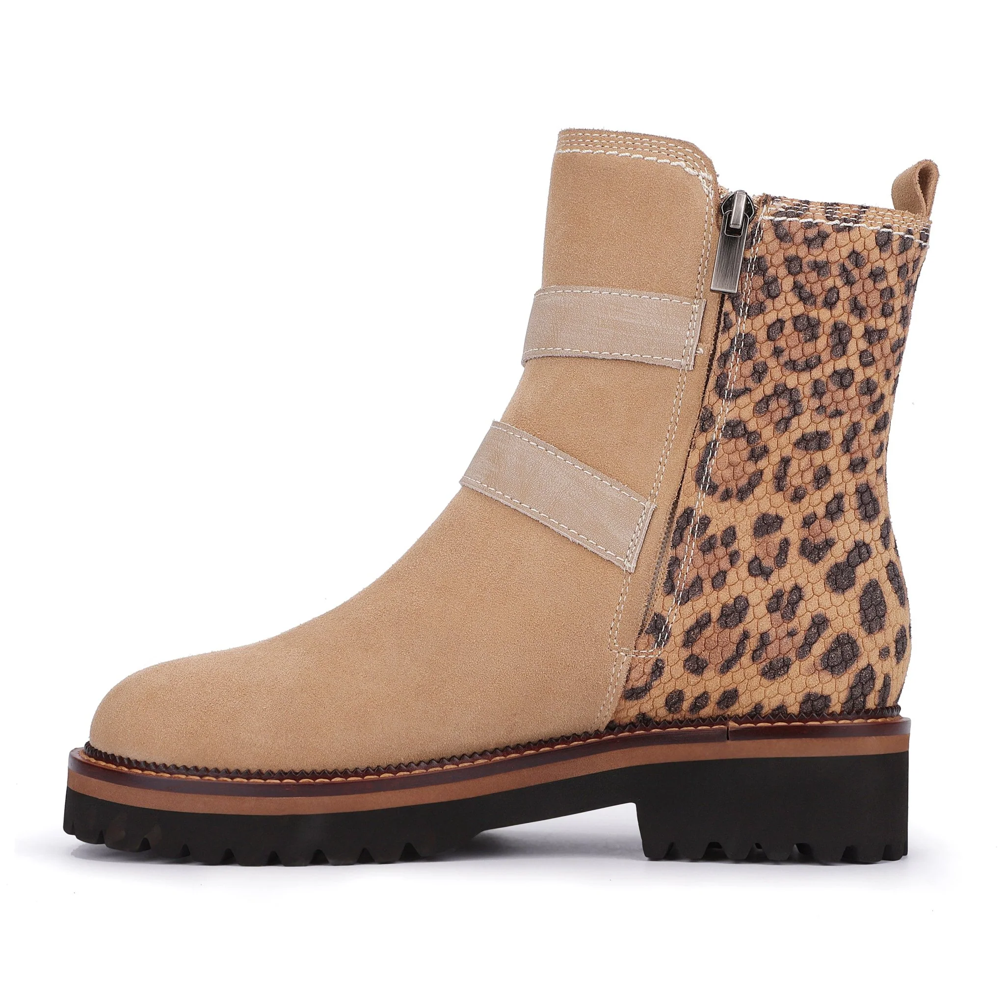 Curtis - Sand Cheetah - Image 4
